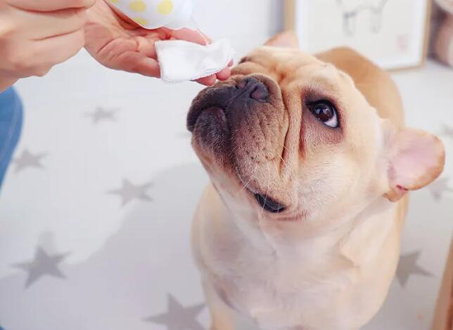 寵物用品進口報關關稅稅率（寵物用品進口關稅是多少？）